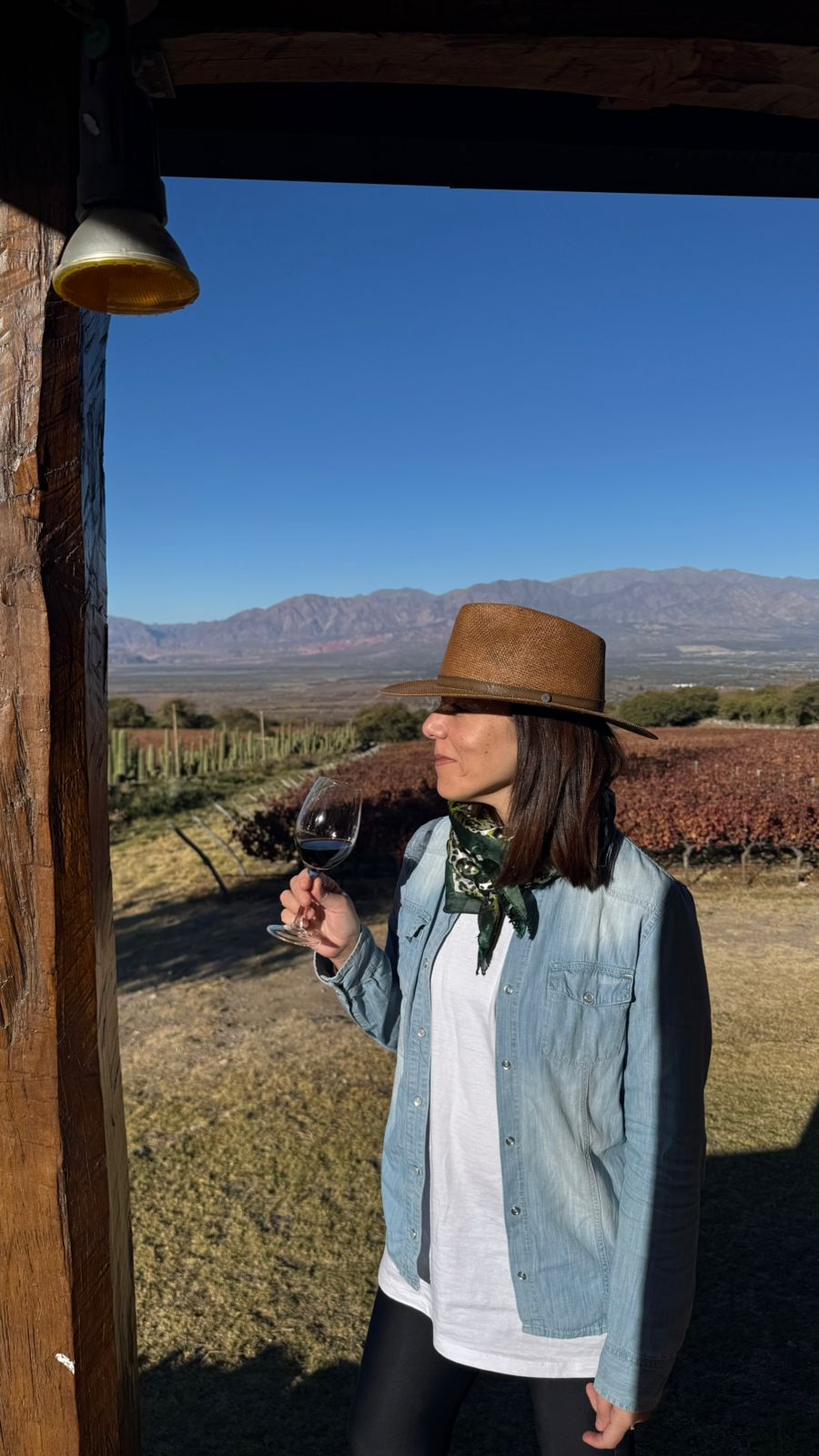 Vinos, Sabores y Paisajes
