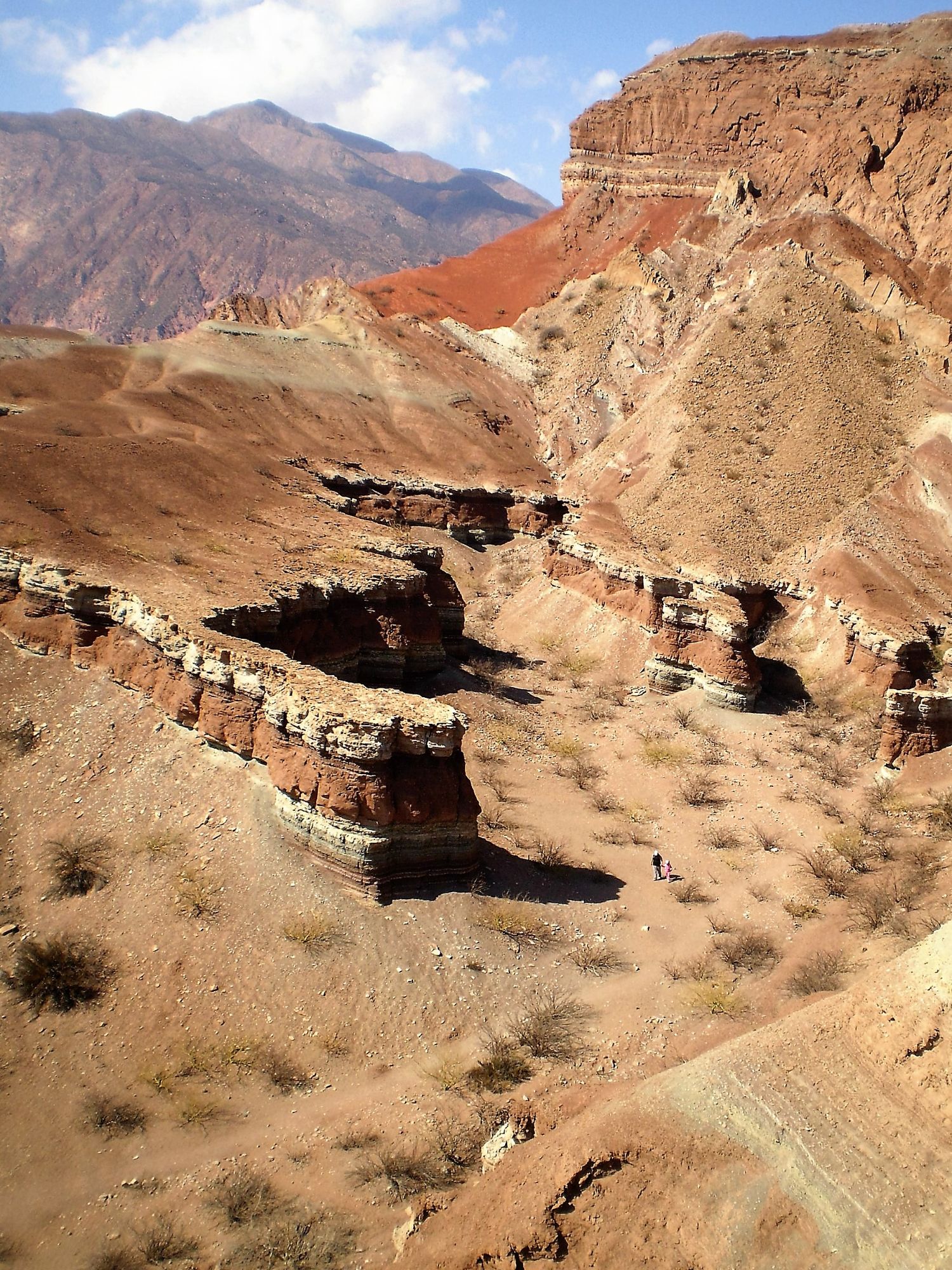 Foto de Caminata Cañón del Paso - La Yesera (7)