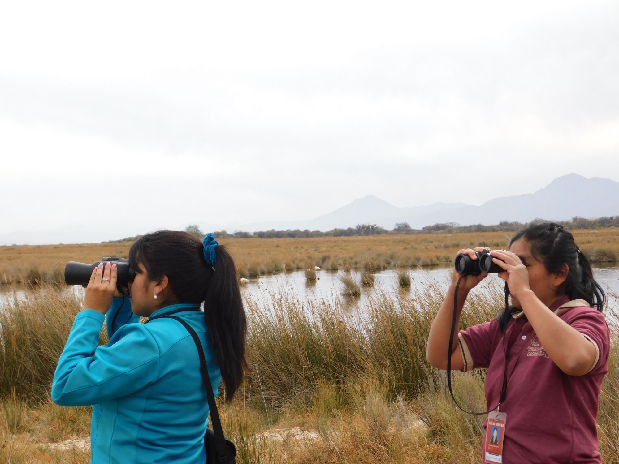 Observación de Aves