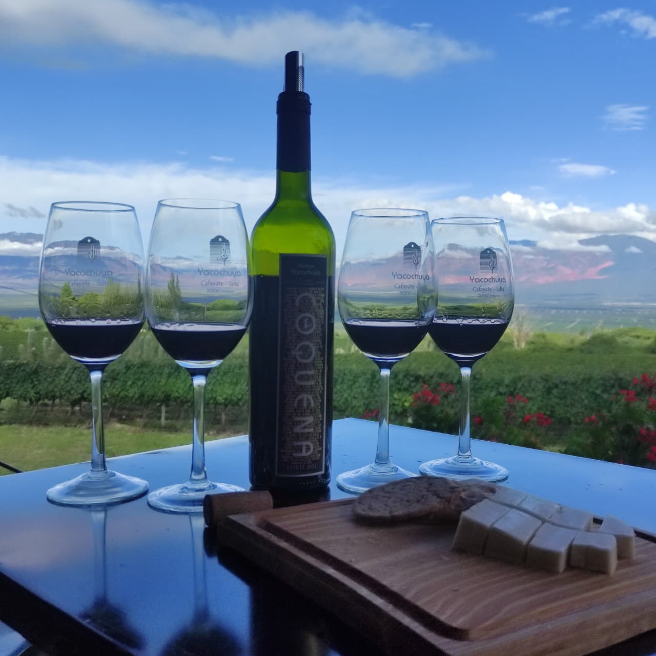 Foto de Vinos, Sabores y Paisajes (2)