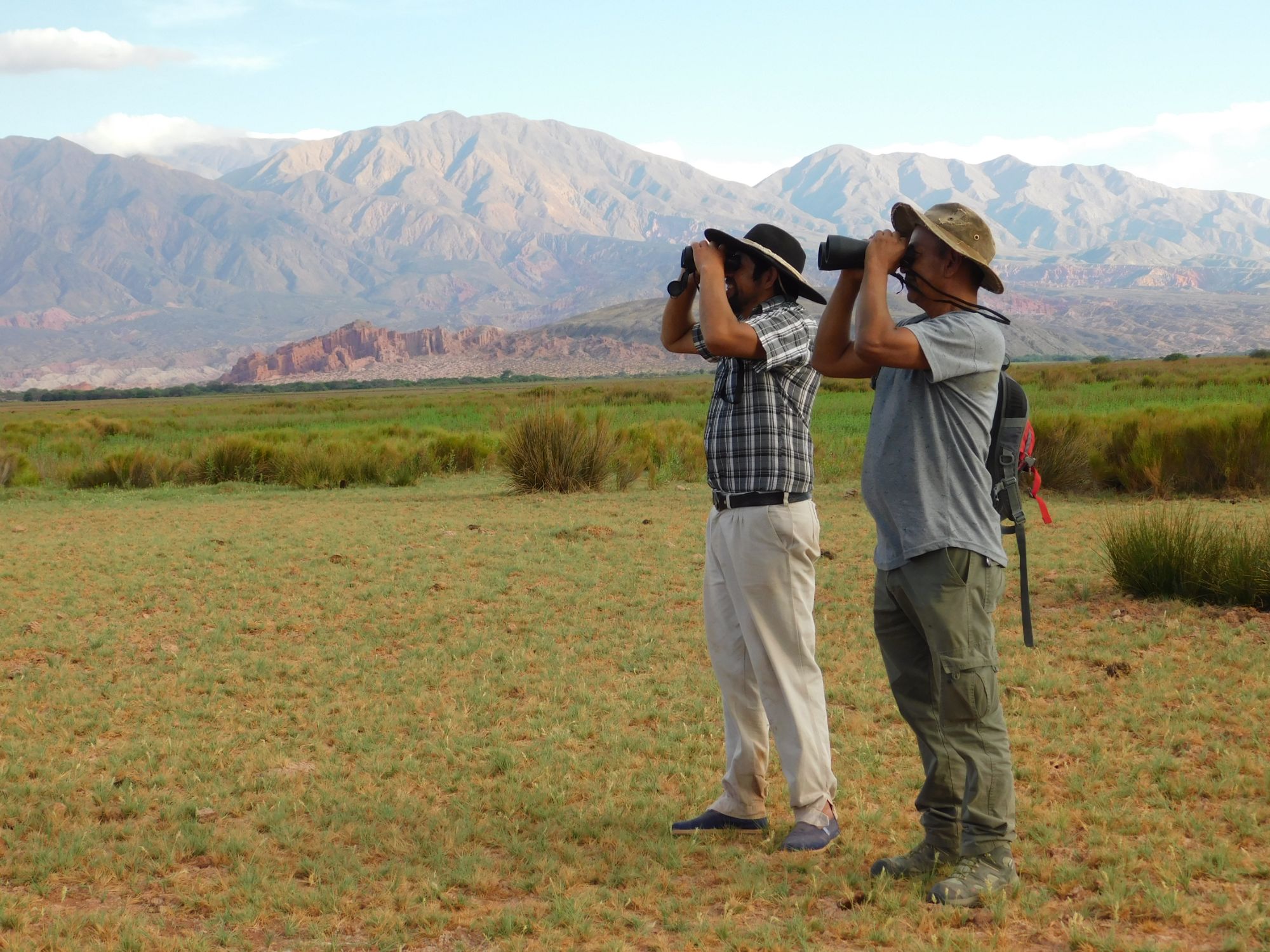 Foto de Observación de Aves (4)