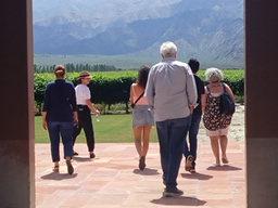 Foto de Un día por la ruta del vino - Cafayate (5)