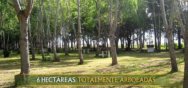 Foto de Camping Playa Dorada (2)