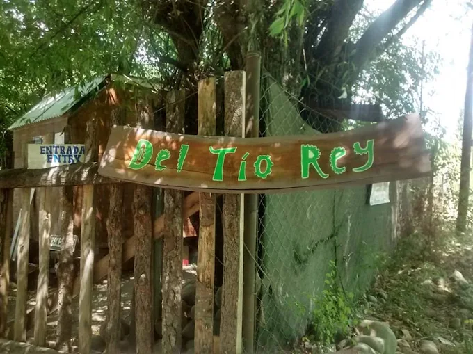 Foto de Camping y Hostel Del Tío Rey (3)