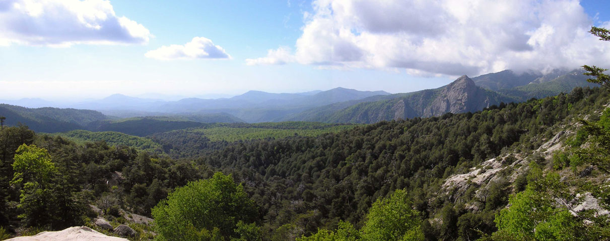 Reserva Nacional Altos de Lircay