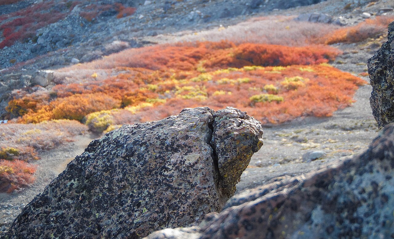 Foto de Reserva Nacional Altos de Lircay (4)