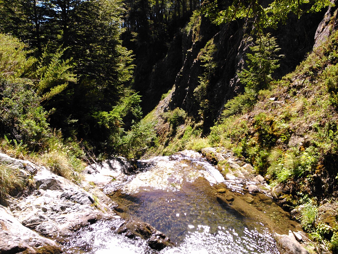 Foto de Valle Las Trancas y Termas de Chillán (3)