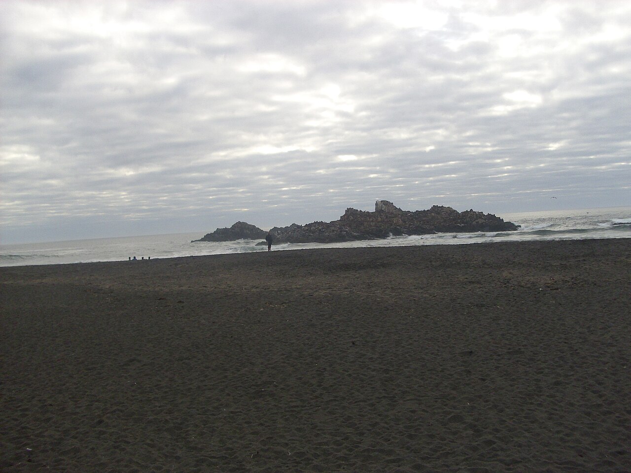Foto de Lobería de Cobquecura (4)