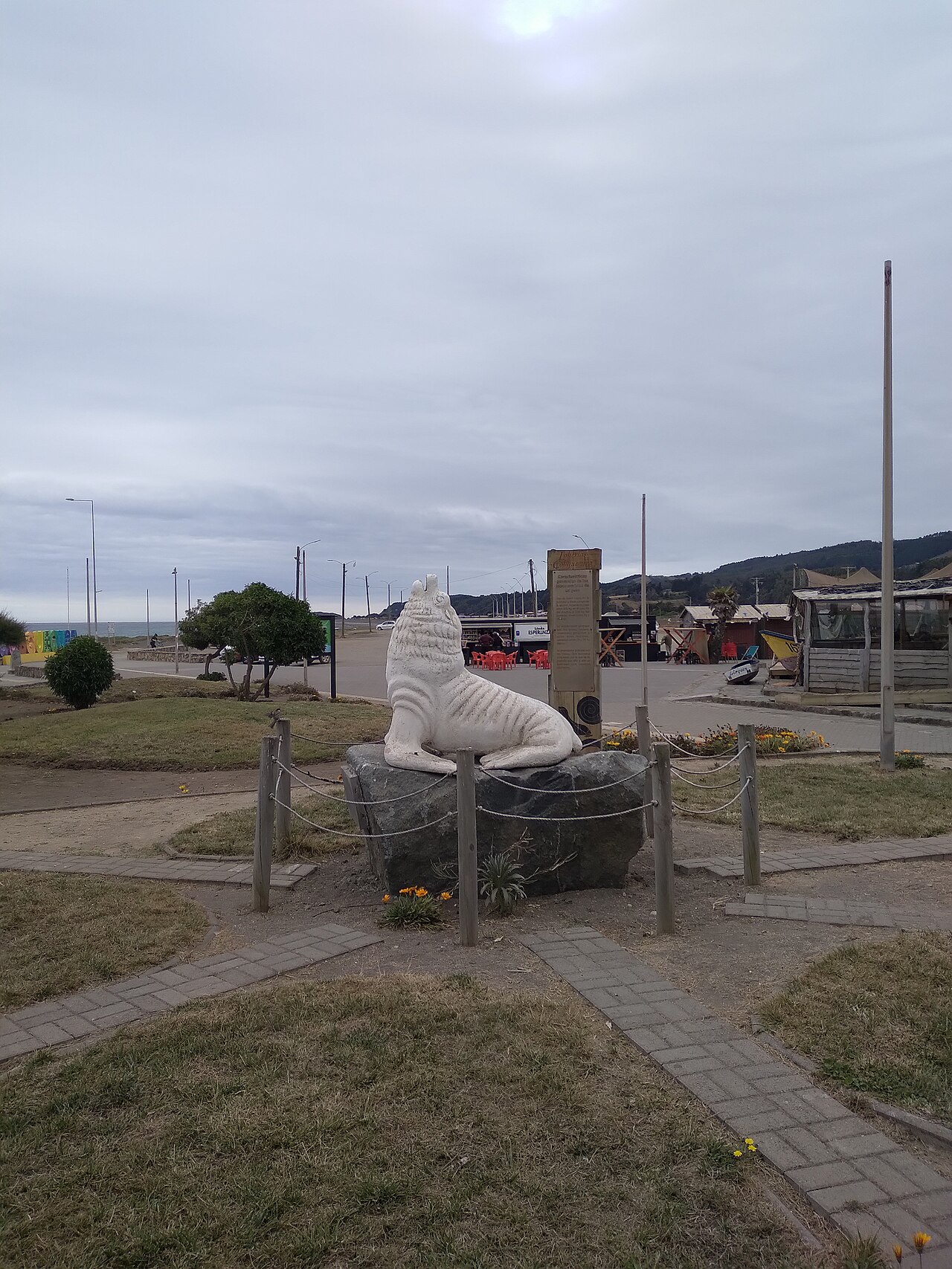 Foto de Lobería de Cobquecura (5)