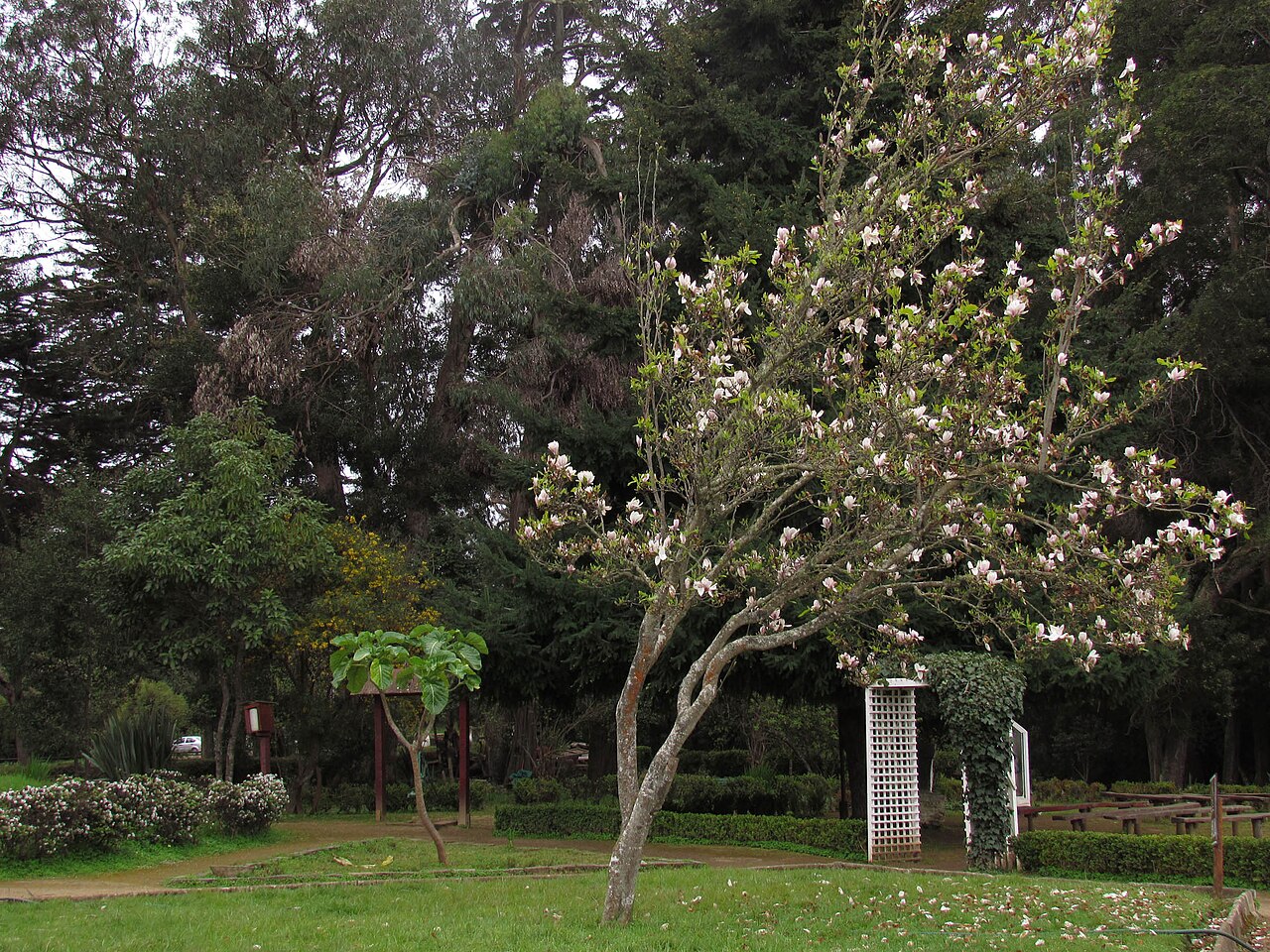 Foto de Parque Pedro del Río Zañartu (3)