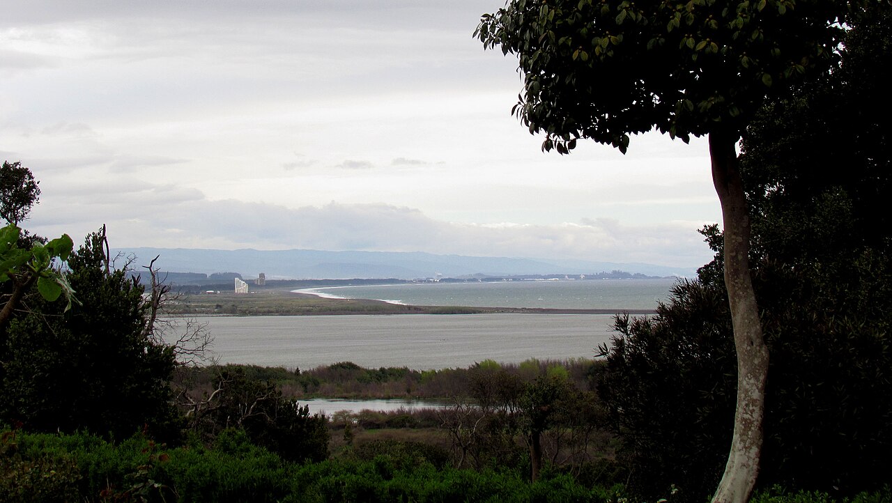 Foto de Parque Pedro del Río Zañartu (4)