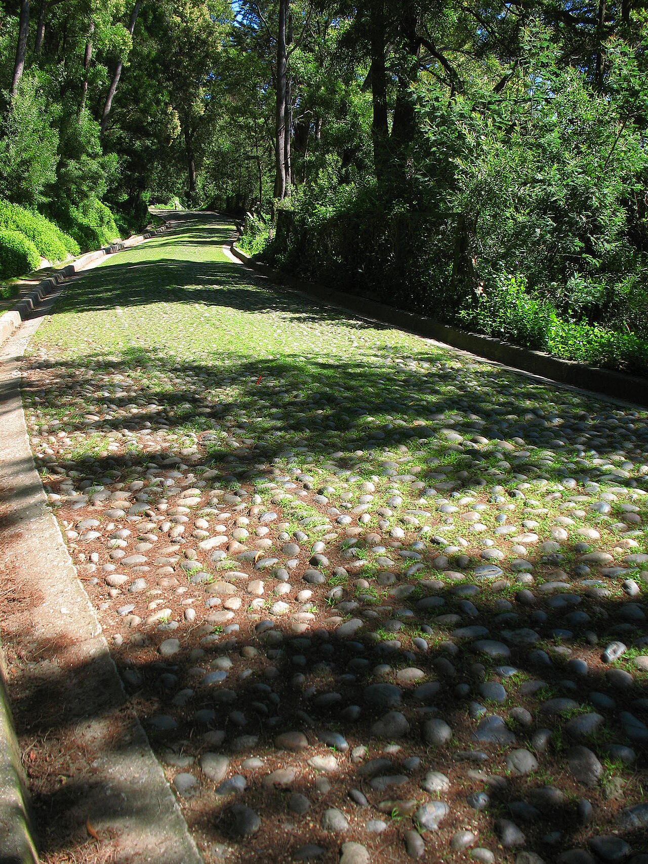 Foto de Mirador Alemán del Cerro Caracol (4)