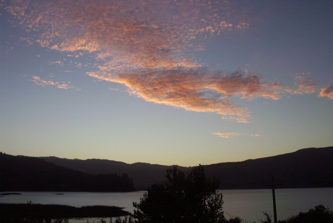 Foto de Lago Lanalhue (4)
