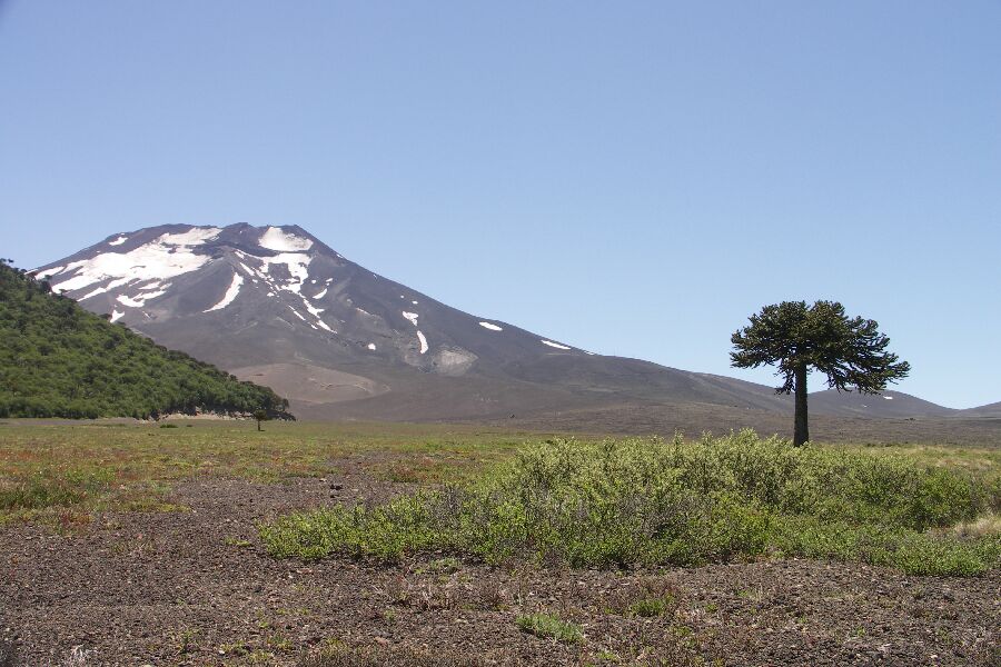 Reserva Nacional Malalcahuello