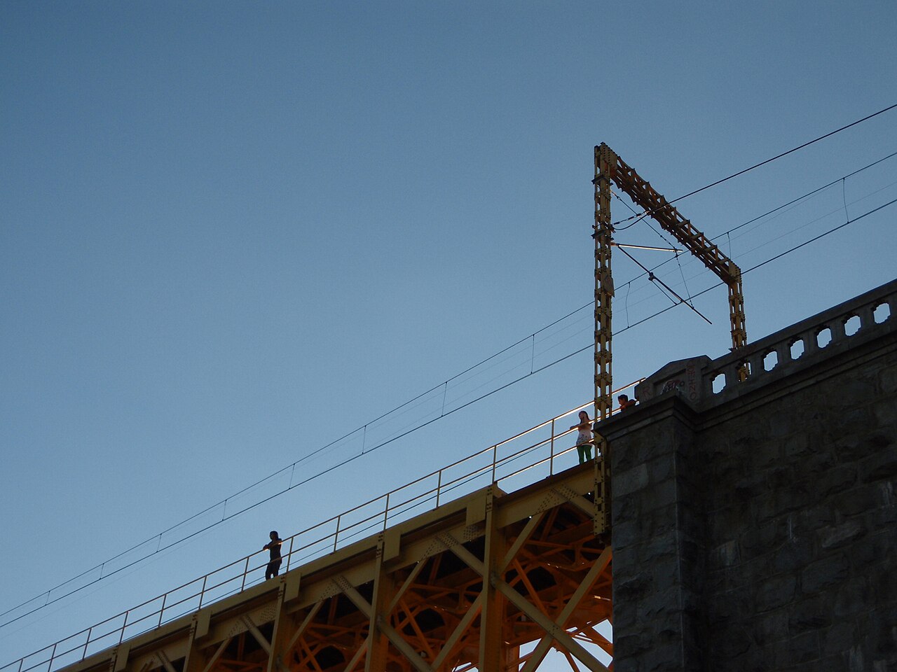 Foto de Viaducto del Malleco (4)