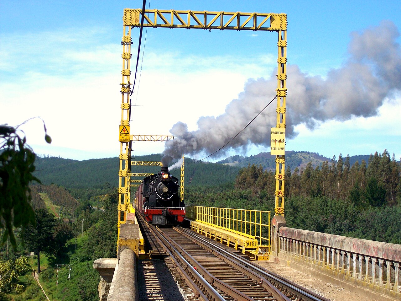 Foto de Viaducto del Malleco (5)