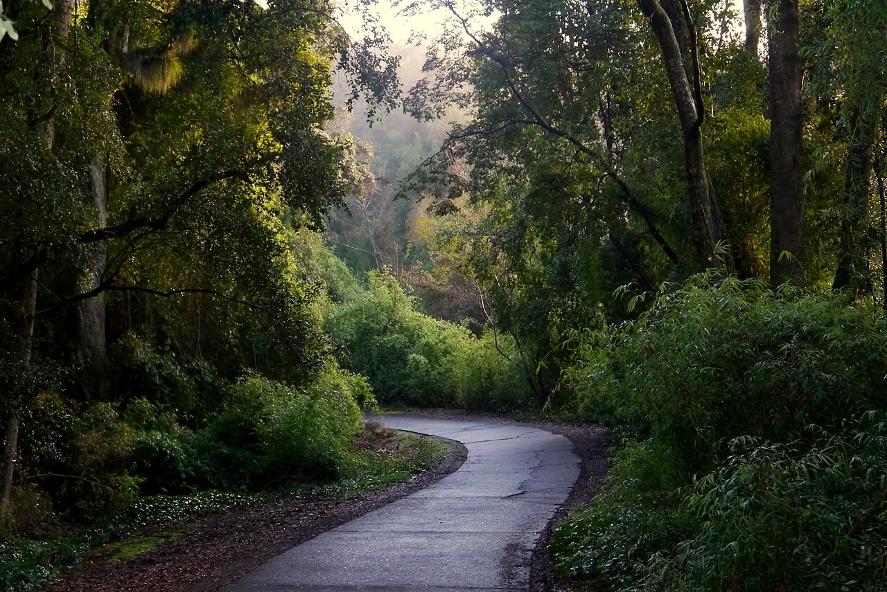 Cerro Ñielol en Temuco