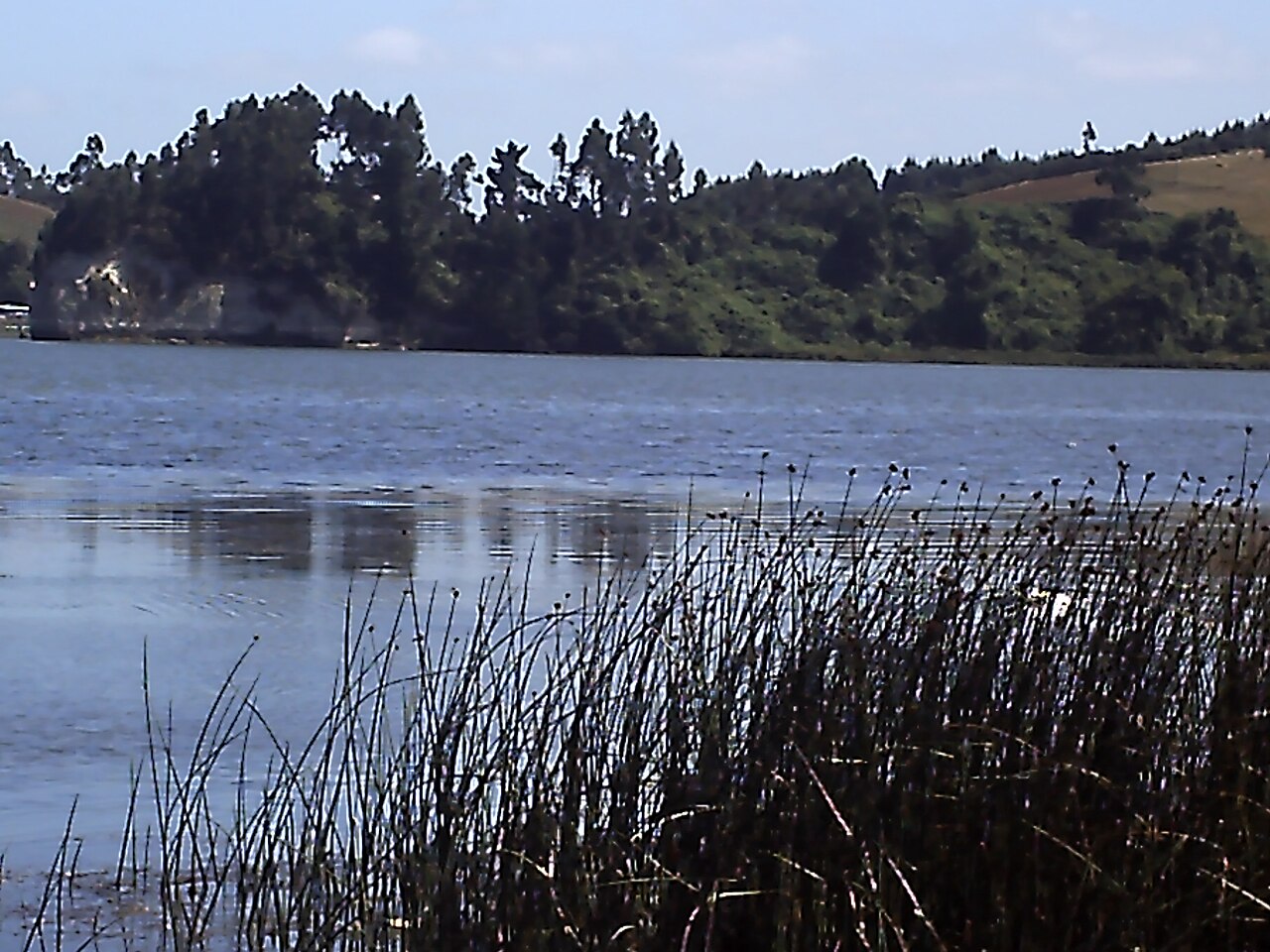 Foto de Lago Budi (3)