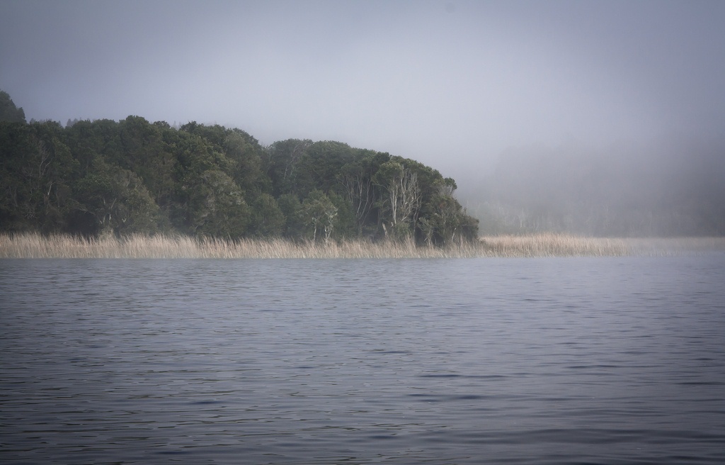 Foto de Lago Budi (4)