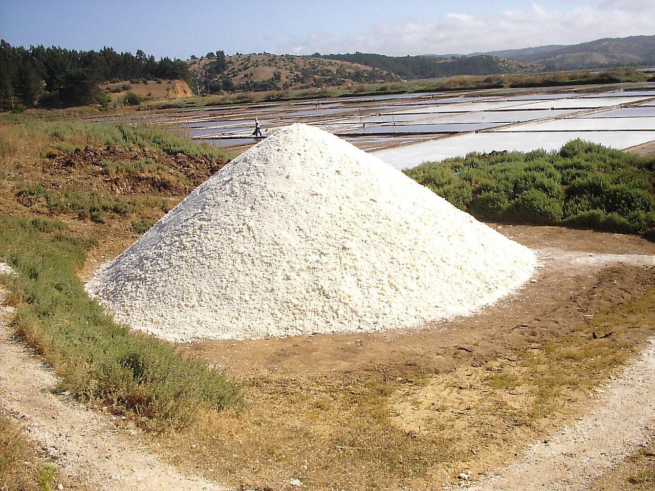 Foto de Camino costero: Pichilemu → Bucalemu por Cáhuil (4)