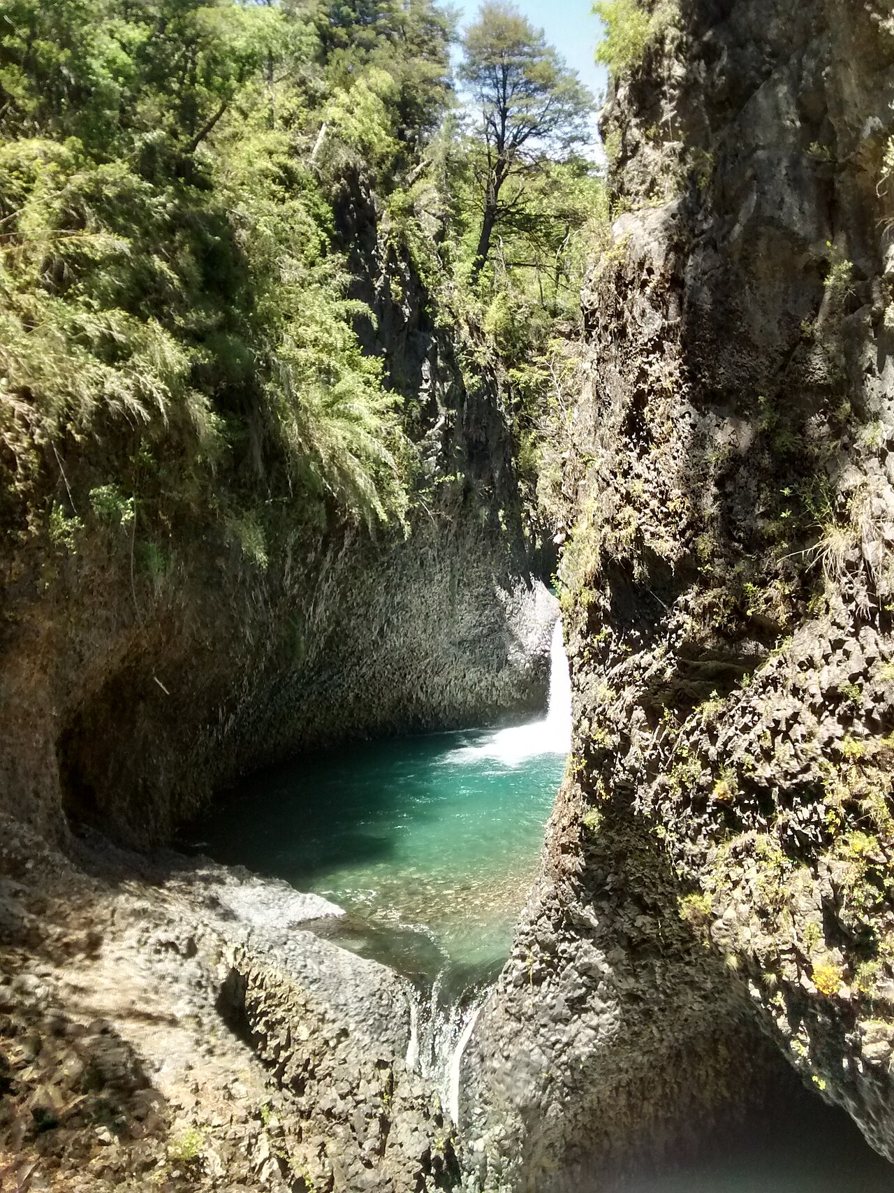Foto de Molina → Parque Nacional Radal Siete Tazas por el río Claro (4)