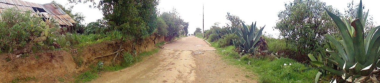 Foto de Chillán → Termas de Chillán por Pinto y Las Trancas (5)