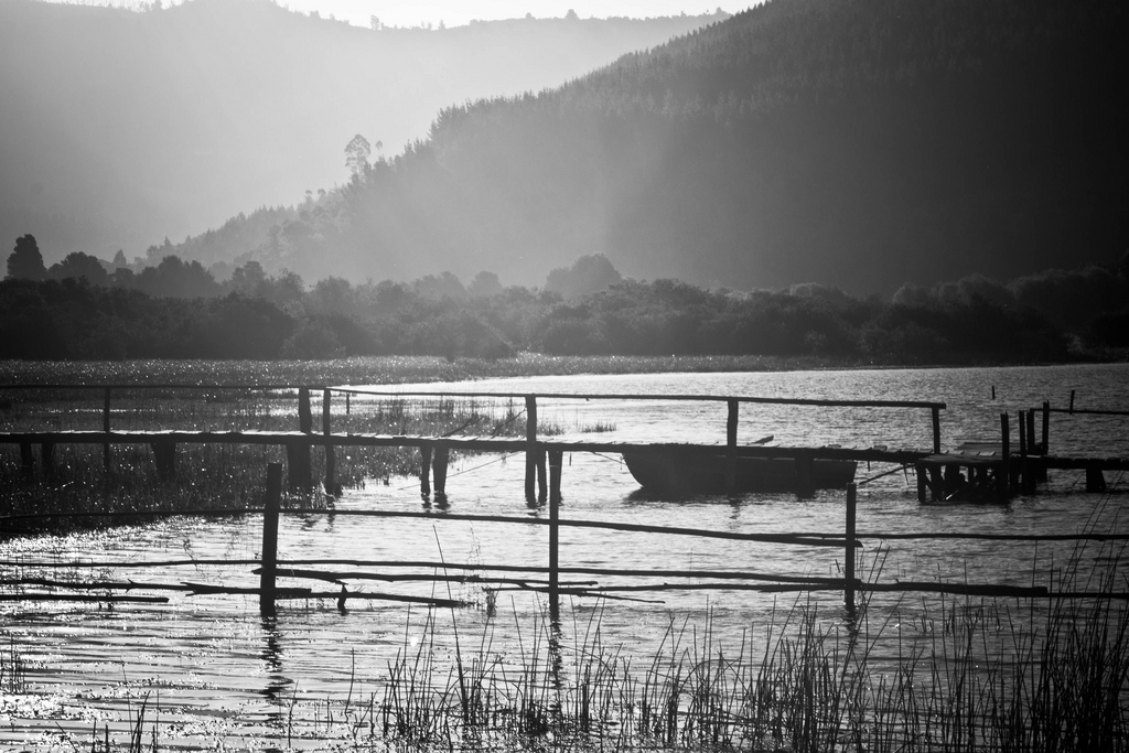 Foto de Cañete → Contulmo por la orilla del lago Lanalhue (3)
