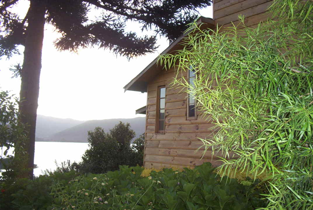 Foto de Cañete → Contulmo por la orilla del lago Lanalhue (4)