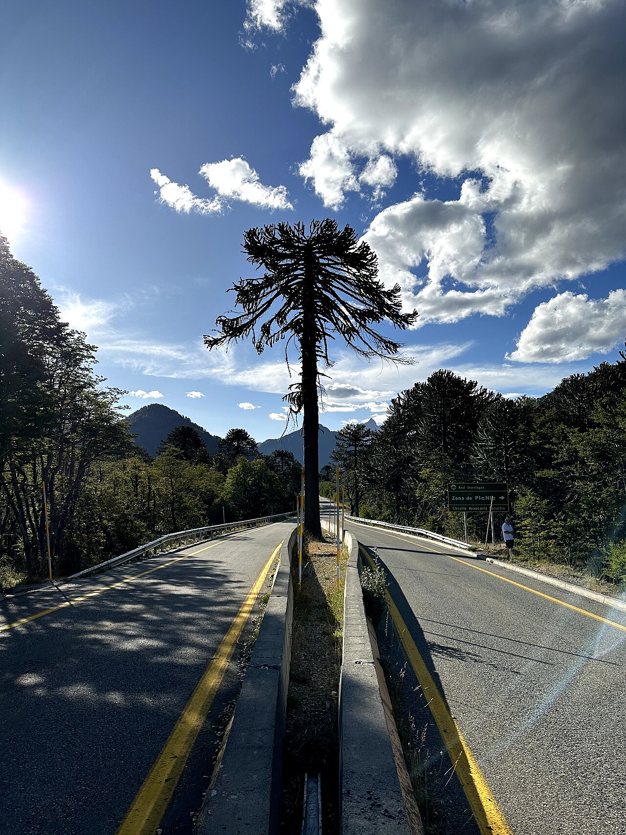 Foto de Ruta 199: Pucón → Paso Mamuil Malal por Curarrehue (3)