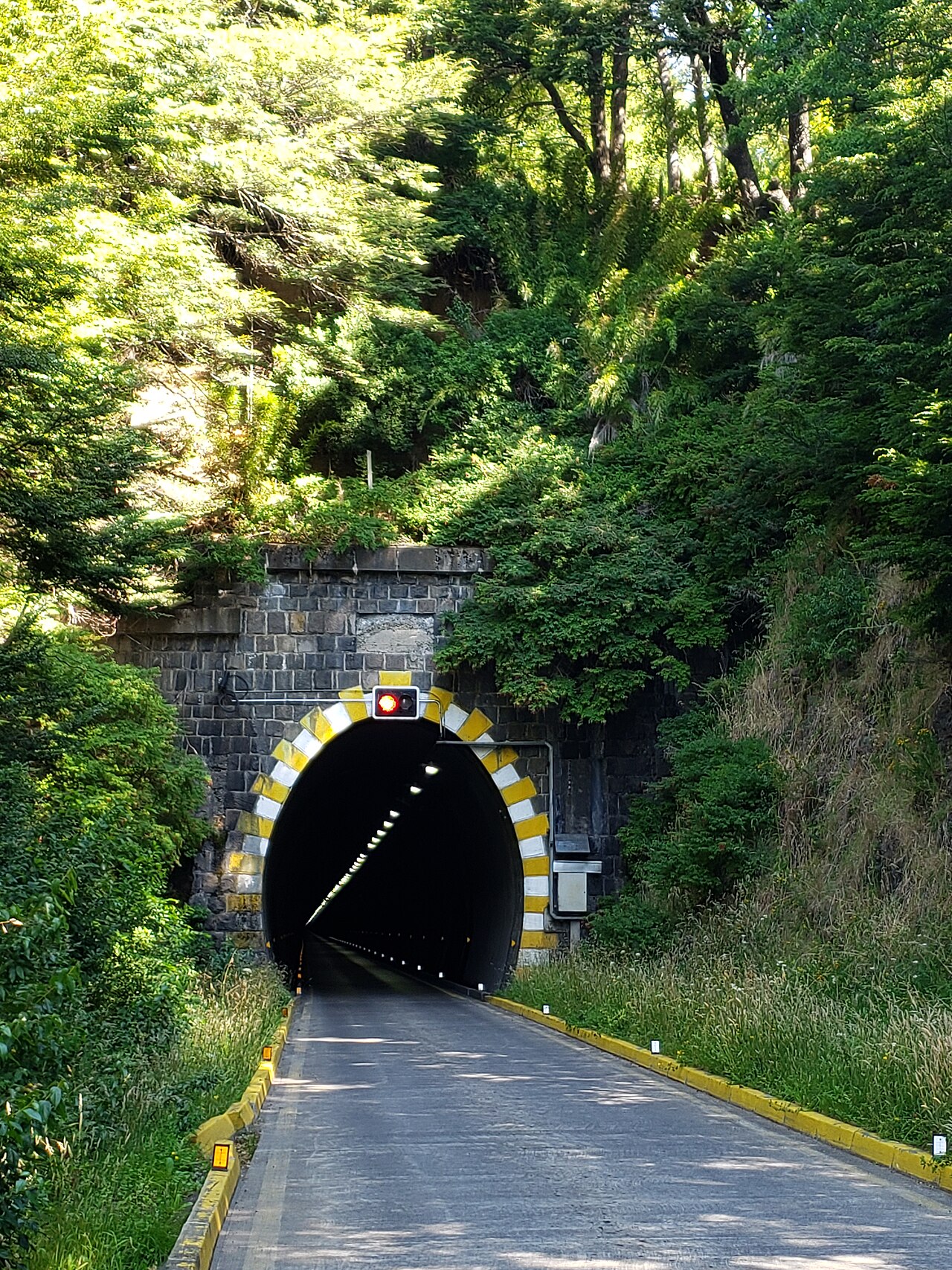 Foto de Ruta 181: Curacautín → Lonquimay por el túnel Las Raíces (4)