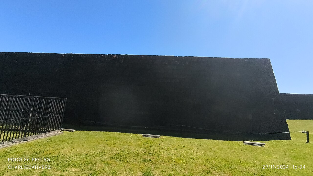 Foto de Fuerte de Niebla (3)
