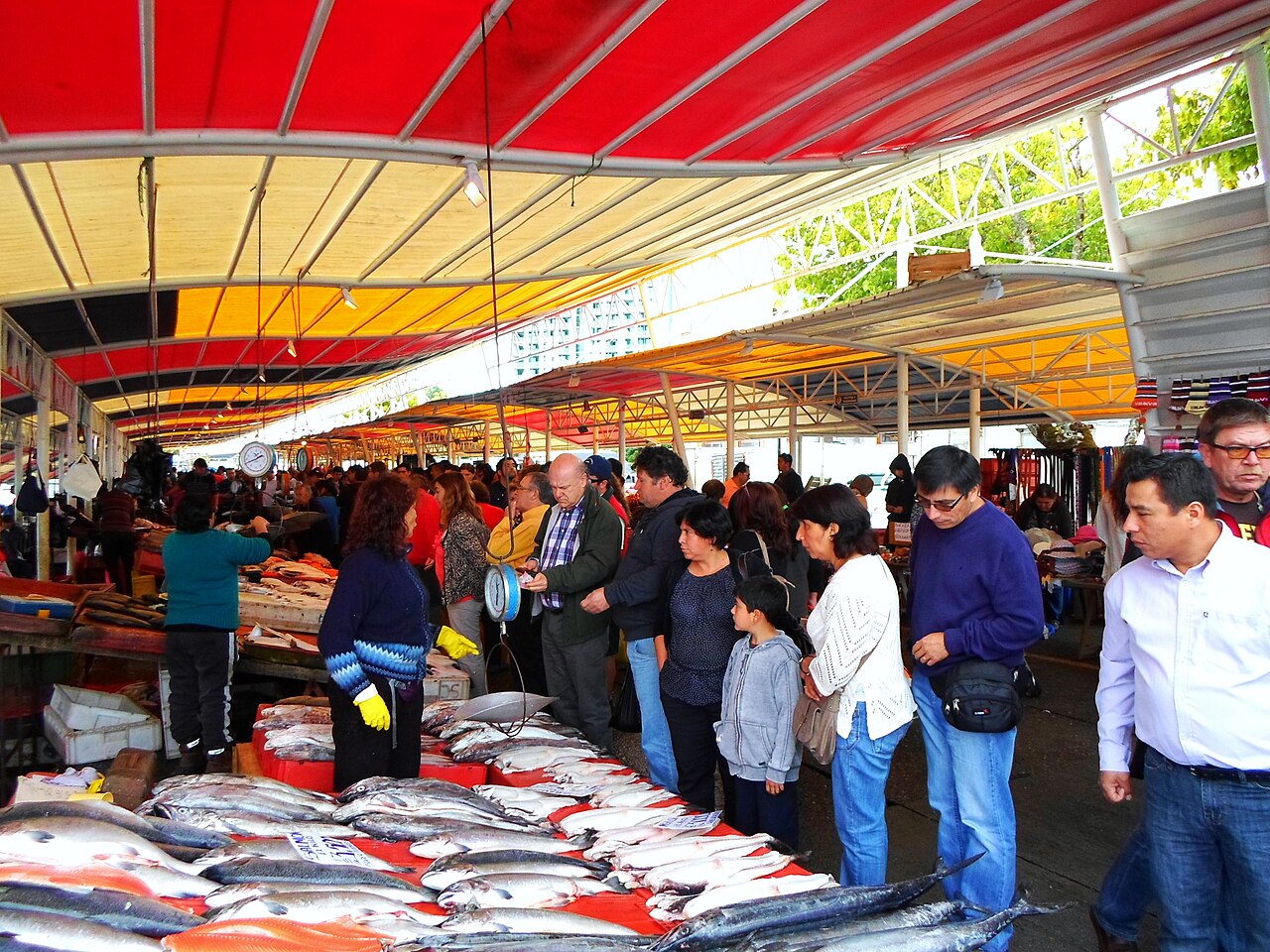 Costanera y Mercado Fluvial de Valdivia