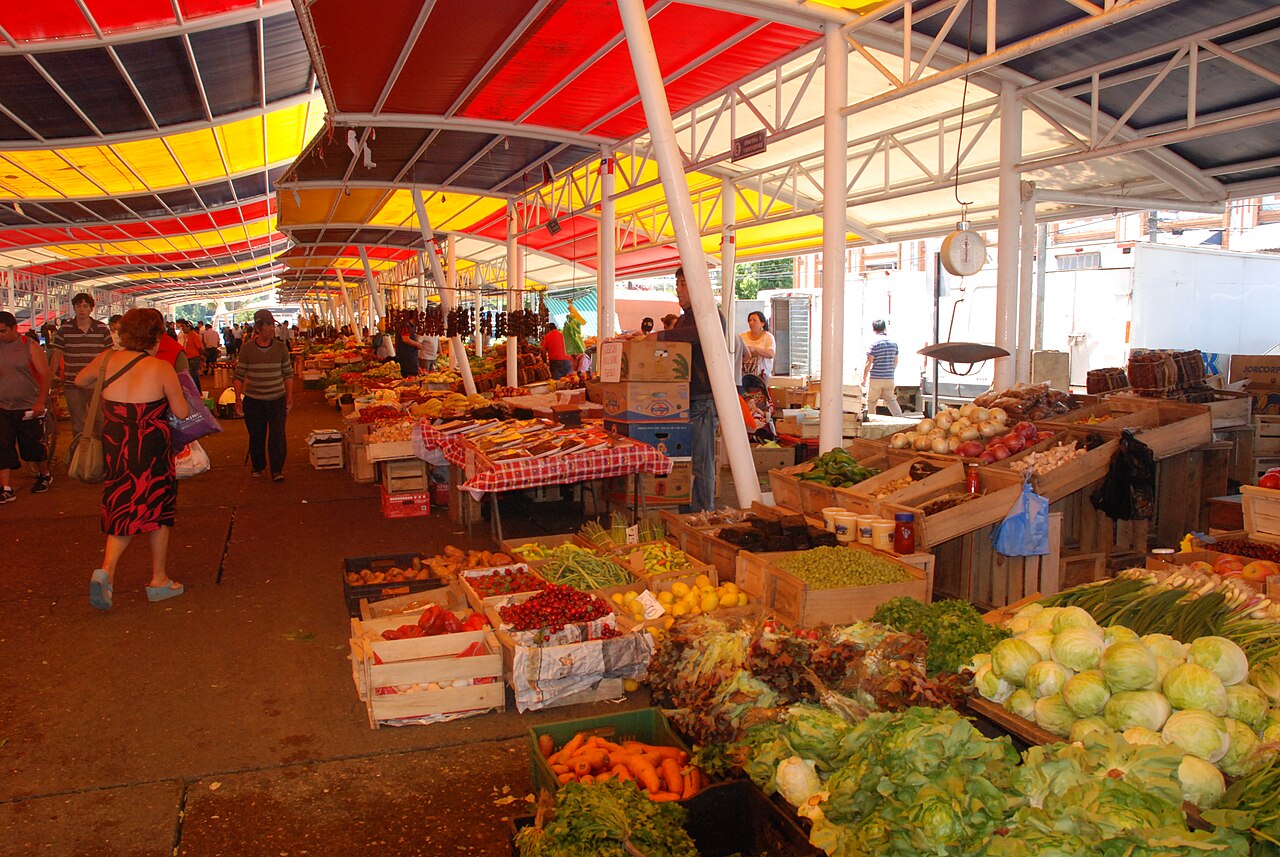Foto de Costanera y Mercado Fluvial de Valdivia (3)