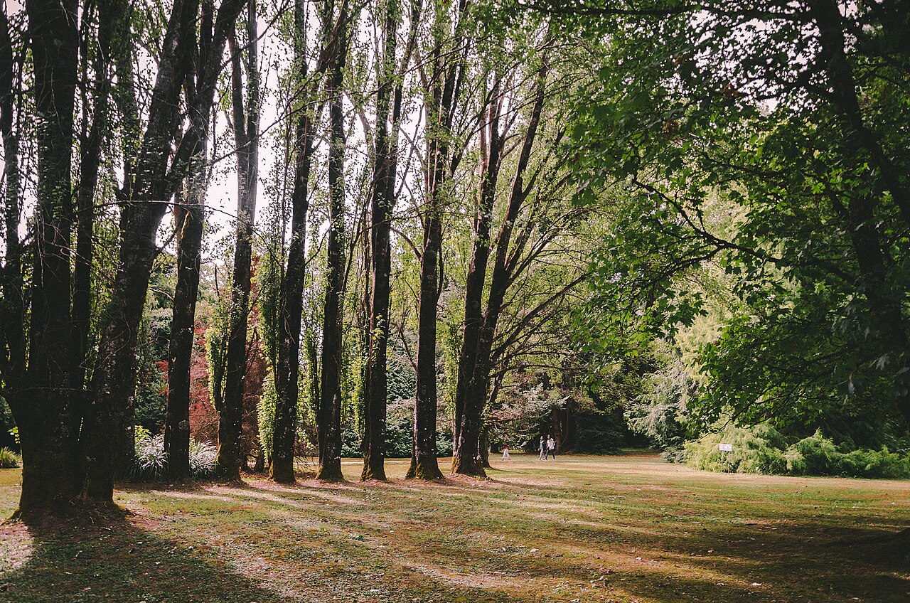 Jardín Botánico de la Universidad Austral