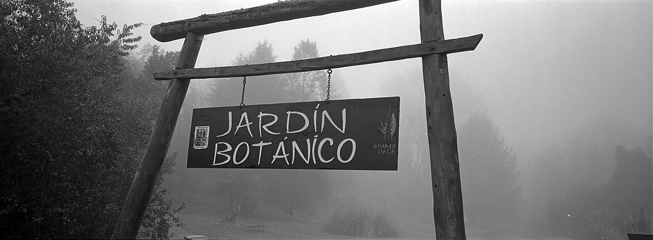 Foto de Jardín Botánico de la Universidad Austral (3)