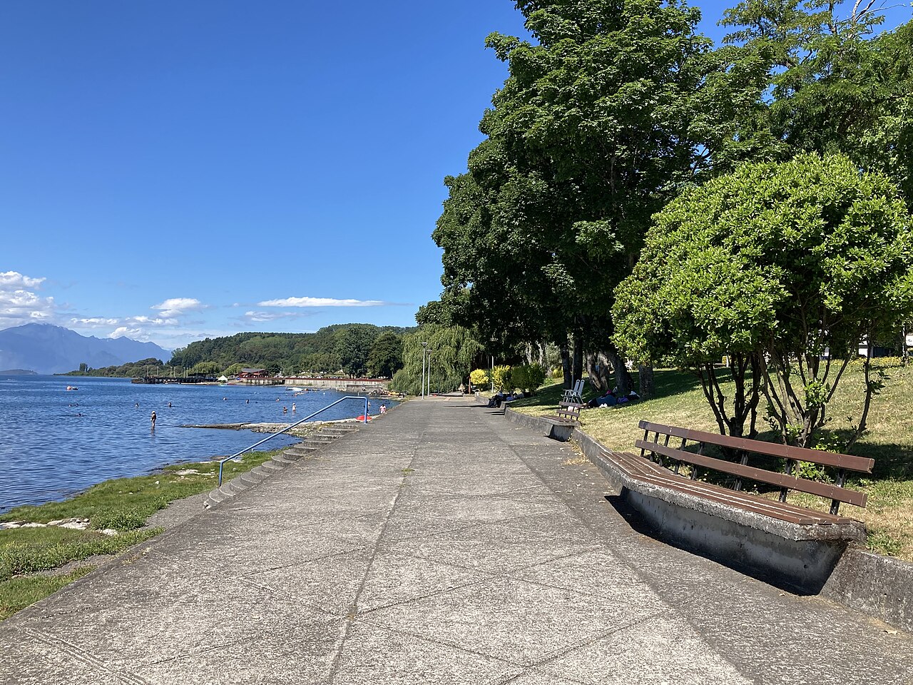 Foto de Costanera de Lago Ranco (5)