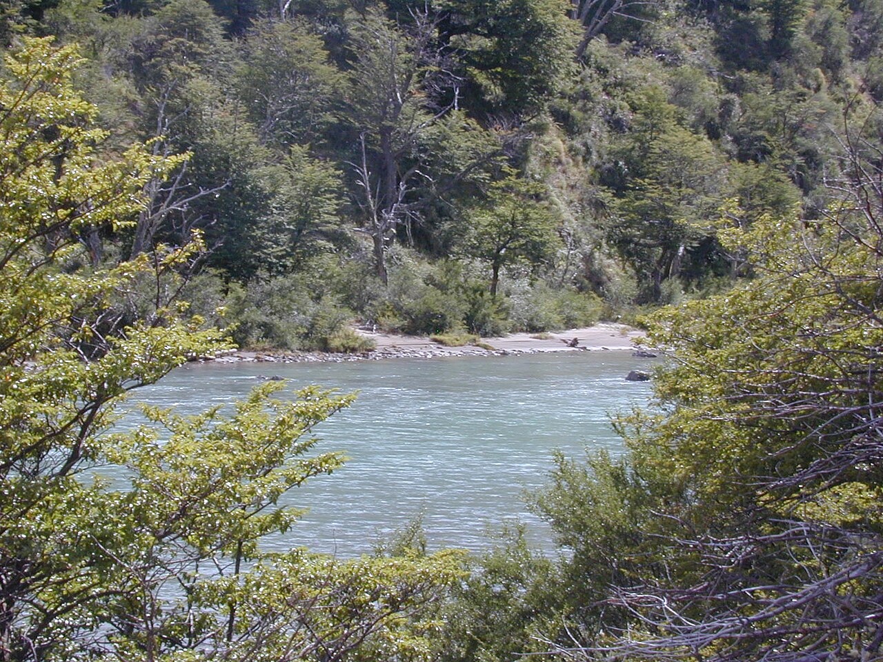 Foto de Valle Chacabuco en el Parque Nacional Patagonia (3)