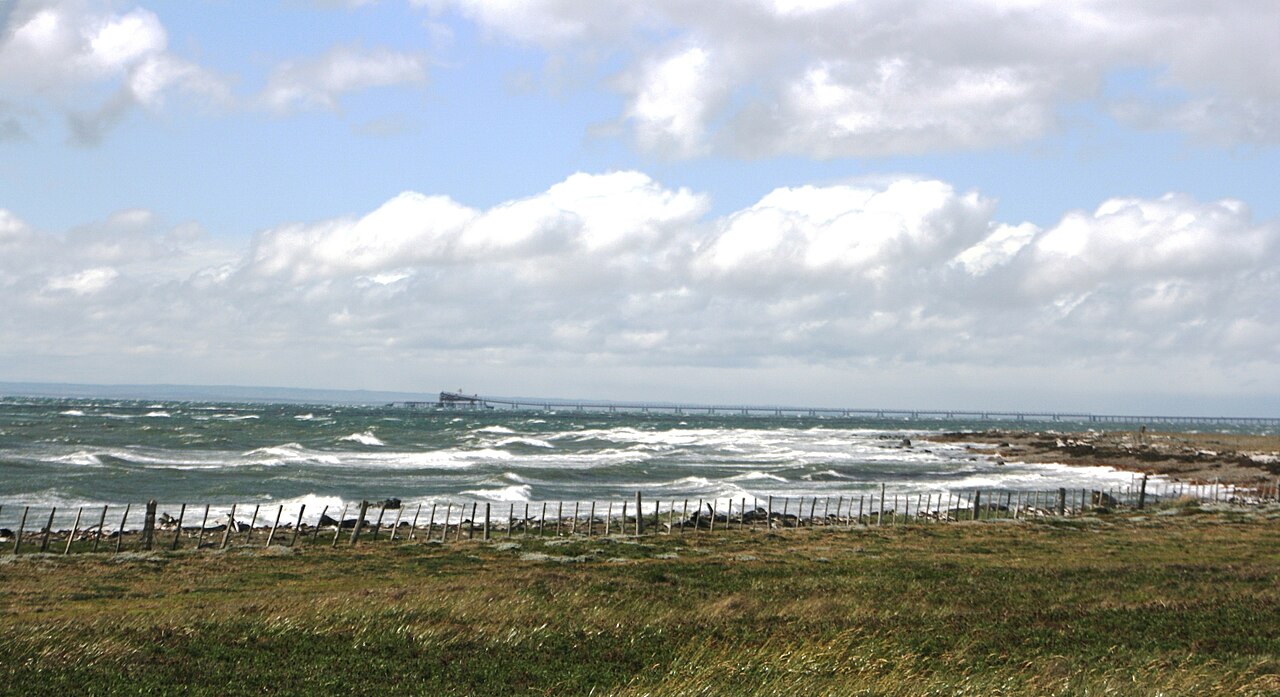 Foto de Pingüinera de Seno Otway (3)