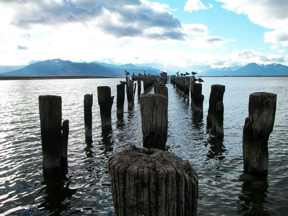 Foto de Costanera de Puerto Natales (3)