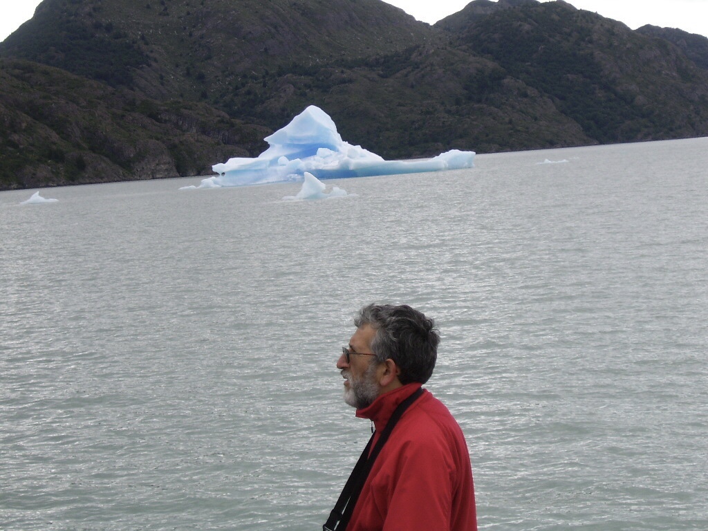 Foto de Lago Grey (5)