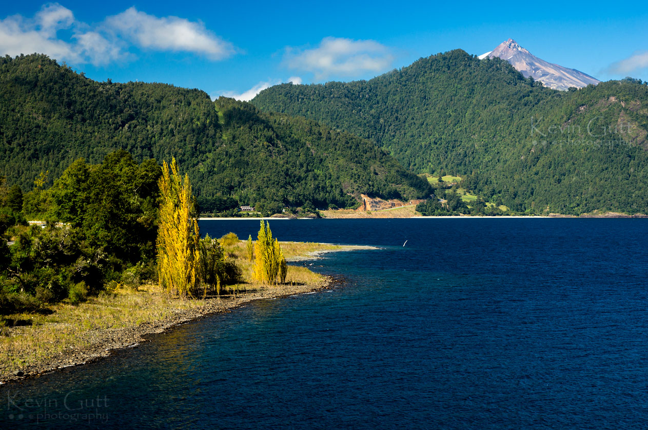 Ruta 203: Panguipulli → Puerto Fuy por Choshuenco