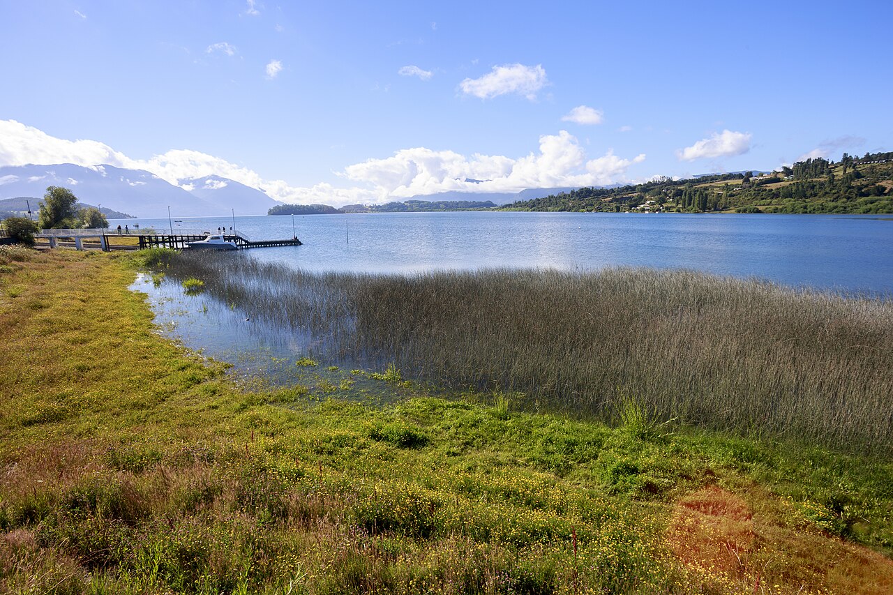 Foto de Ruta 203: Panguipulli → Puerto Fuy por Choshuenco (4)