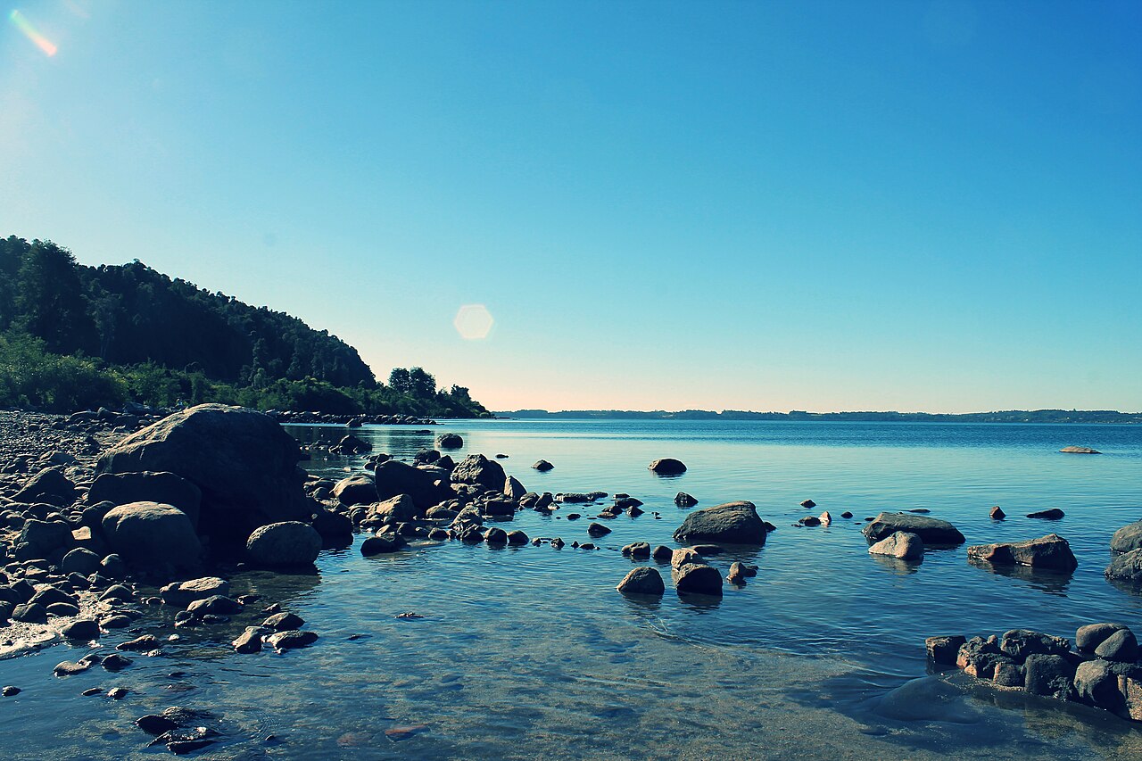 Foto de Ruta 215: Osorno → Paso Cardenal Samoré por el lago Puyehue (4)