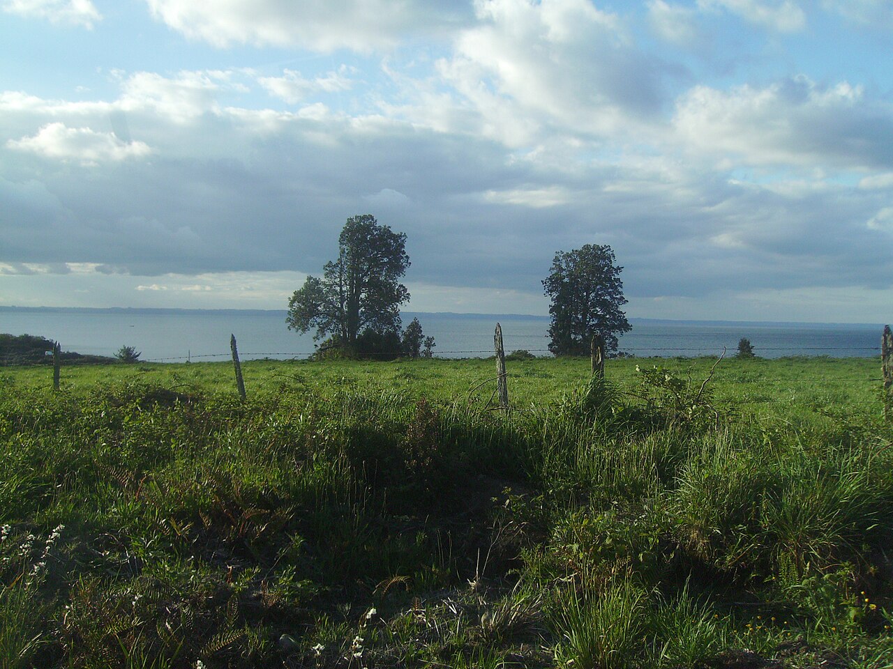 Foto de Ruta 225: Puerto Varas → Petrohué por el lago Llanquihue (5)