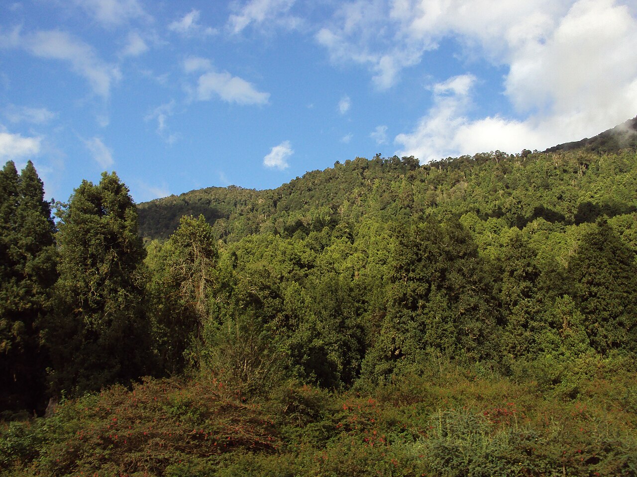 Foto de Ruta 7: La Junta → Puyuhuapi por el lago Risopatrón (3)
