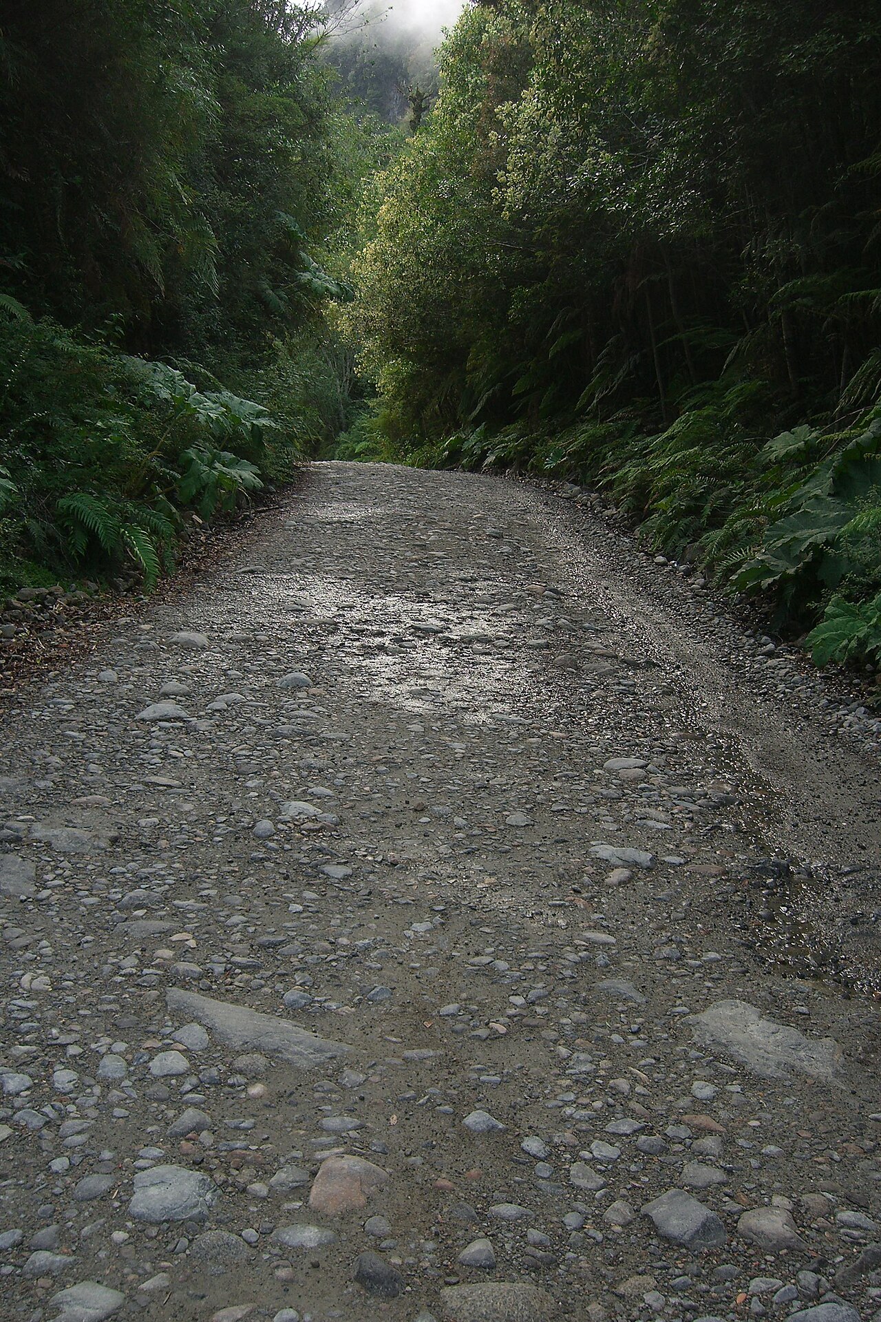 Ruta 7: Puyuhuapi → Villa Amengual por la cuesta Queulat