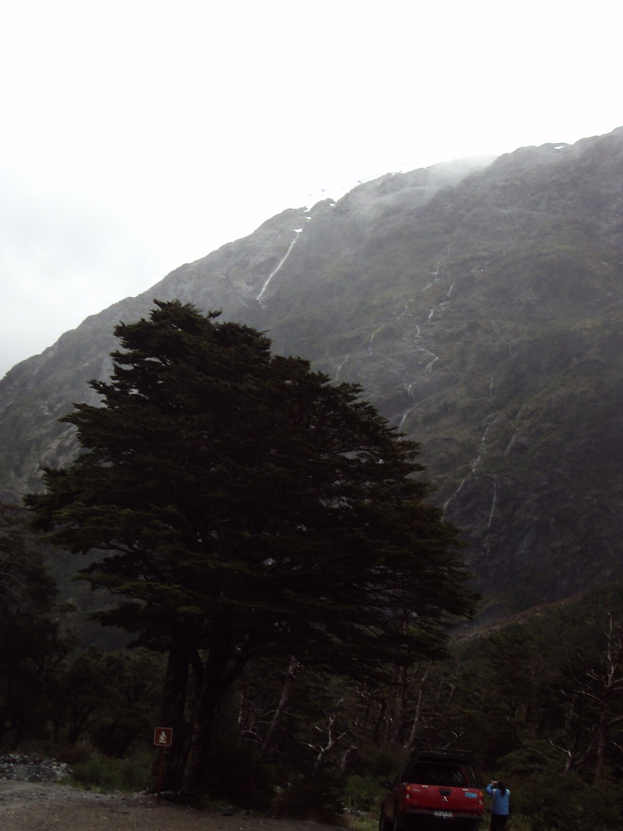 Foto de Ruta 7: Puyuhuapi → Villa Amengual por la cuesta Queulat (4)