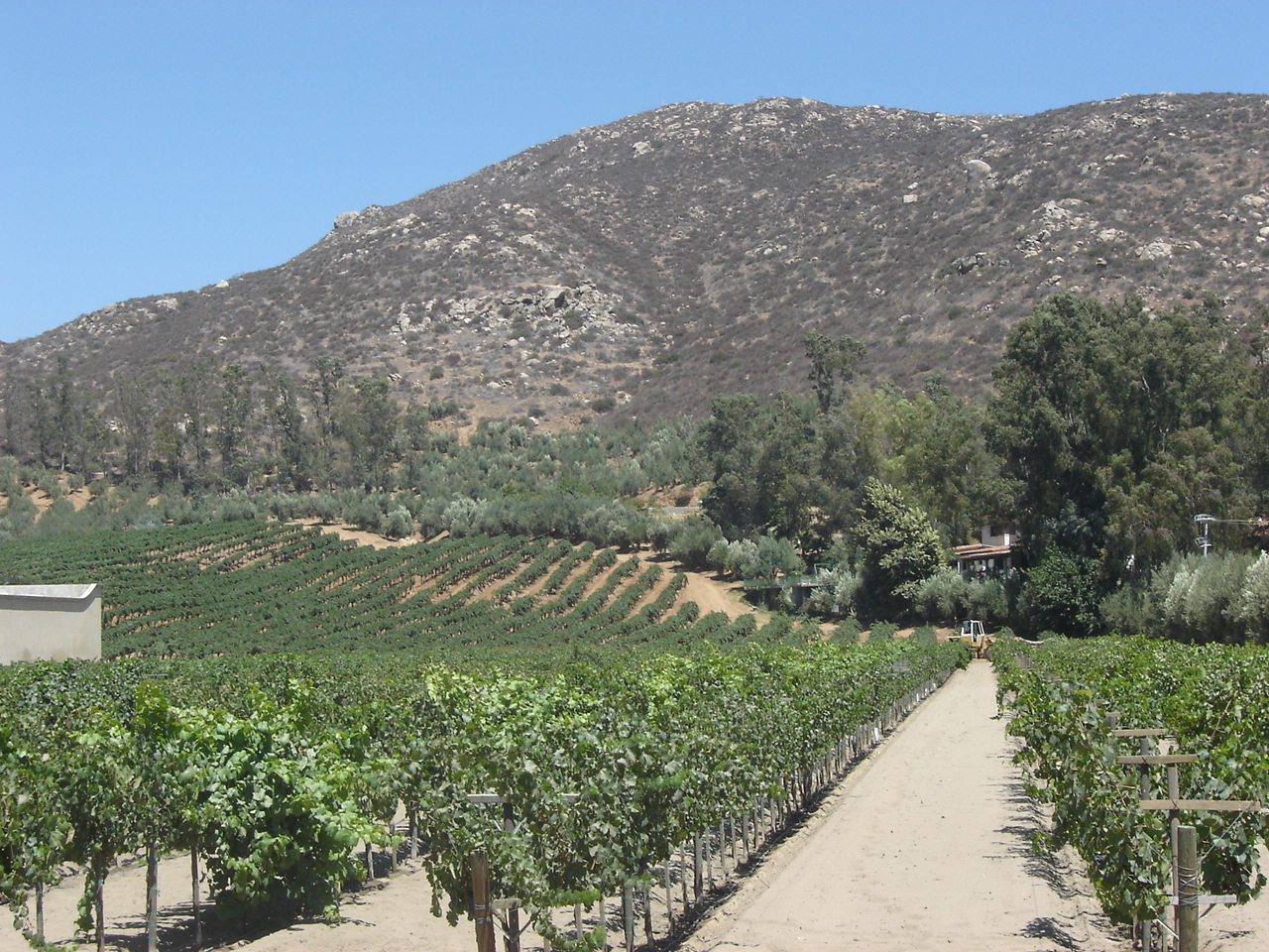 Photo of Museo de la Vid y el Vino, Valle de Guadalupe (3)