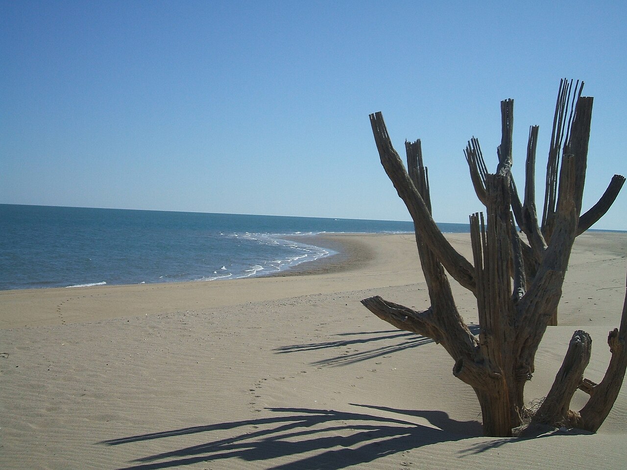 Photo of Malecón de San Felipe (2)