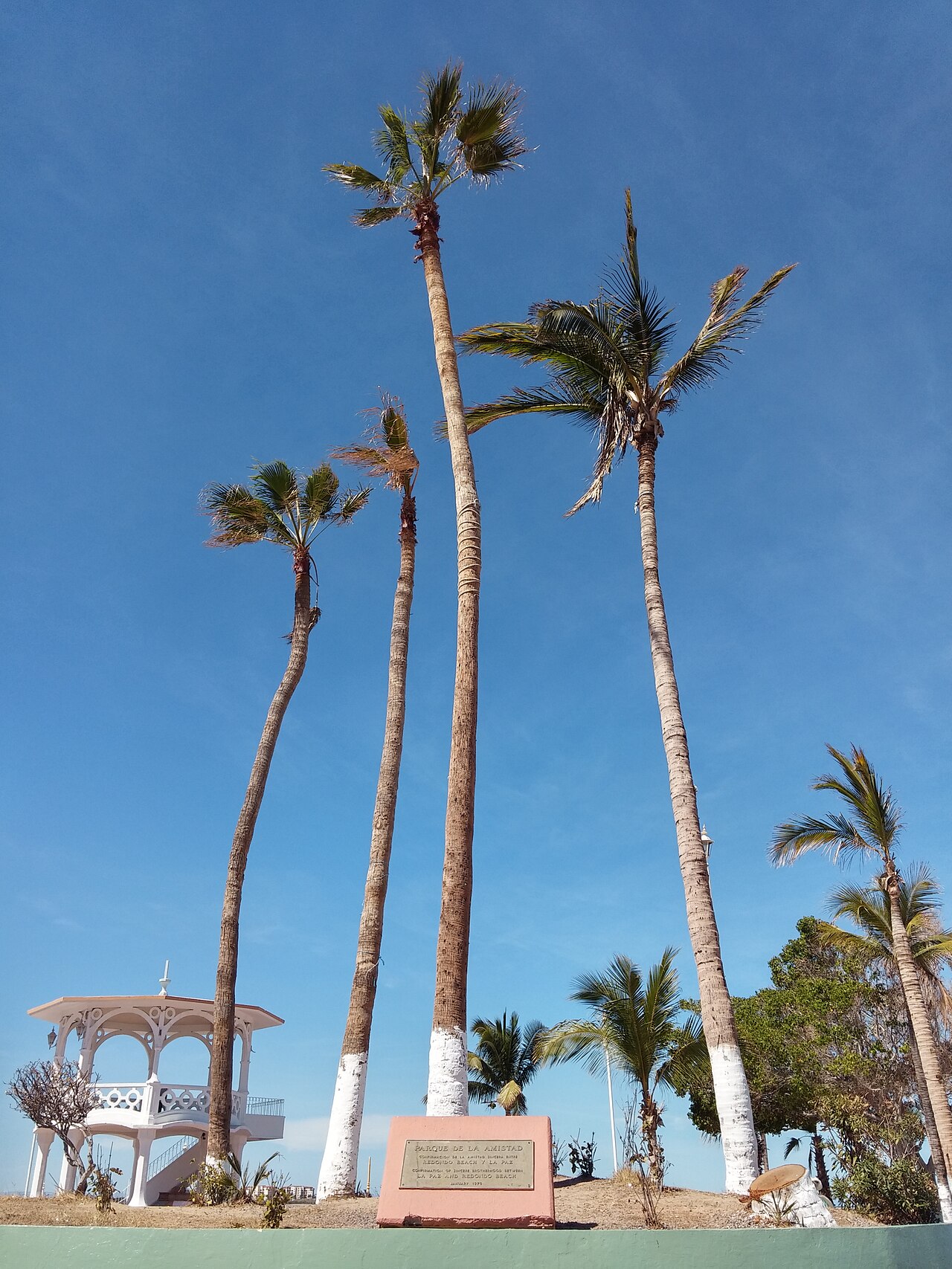 Foto de Malecón de La Paz (5)